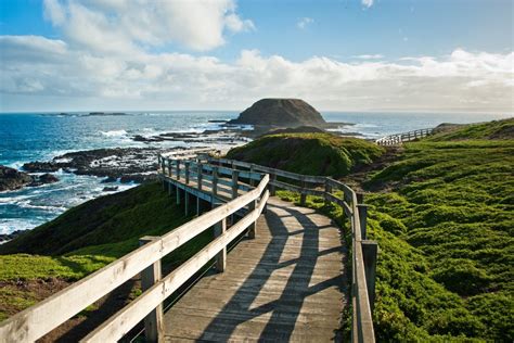 10 Of The Best Things To Do On Phillip Island Travel Insider