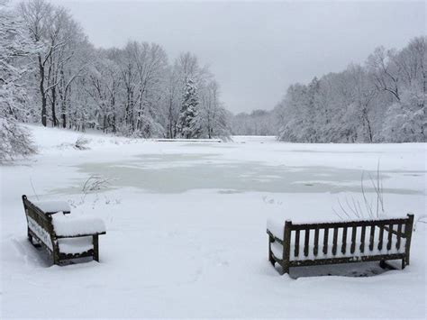 Snowfall At Mountain Lakes Preserve Princeton Nj By Linda Park On