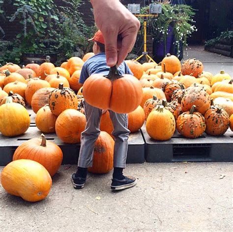 the world s greatest gallery of pumpkins that look like butts