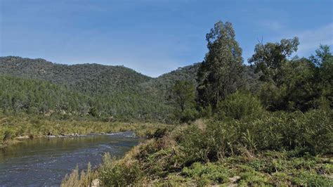 Snowy River National Park Attraction Gippsland Victoria Australia