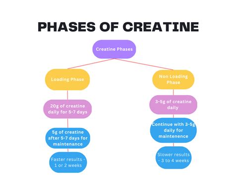 Creatine Everything You Need To Know About It Fittnessnerd