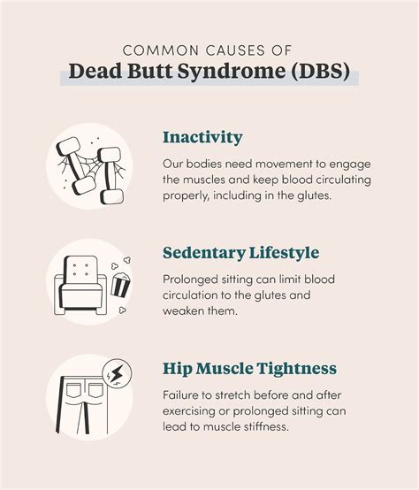 Dead Butt Syndrome Causes And Cures Infographic The Daily Mba