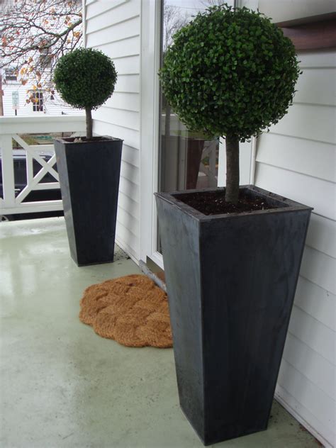 Topiaries For Front Porch Ideas On Foter