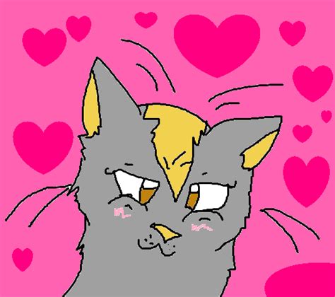 Derpy Cat Pfp November 25th Bodrumwasual