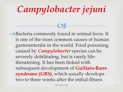 Campylobacter Jejuni And Helicobacter Pylori