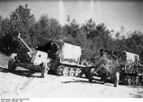 Photo German Half Tracks Towing 75 Cm Pak 40 Anti Tank Guns Vitebsk