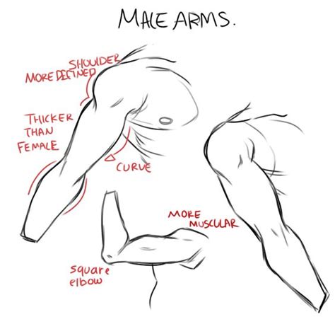 References Arms