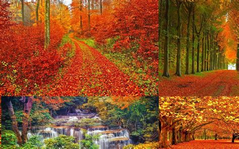 Autumn Wallpaper For Android Apk Download