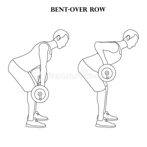 Bent Over Row Dumbbell Stock Illustrations 46 Bent Over Row Dumbbell Stock Illustrations