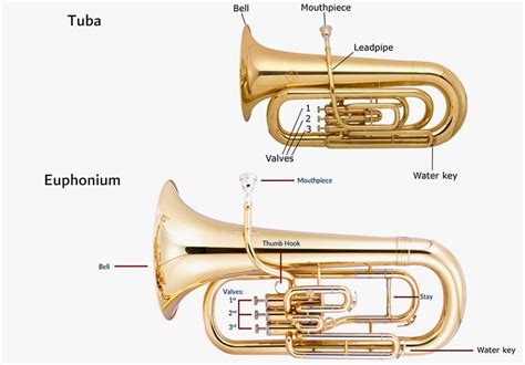 The Different Types Of Tuba Music Notes Scionav