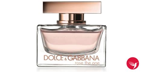 Dolce Gabbana Rose 50ml One Thr