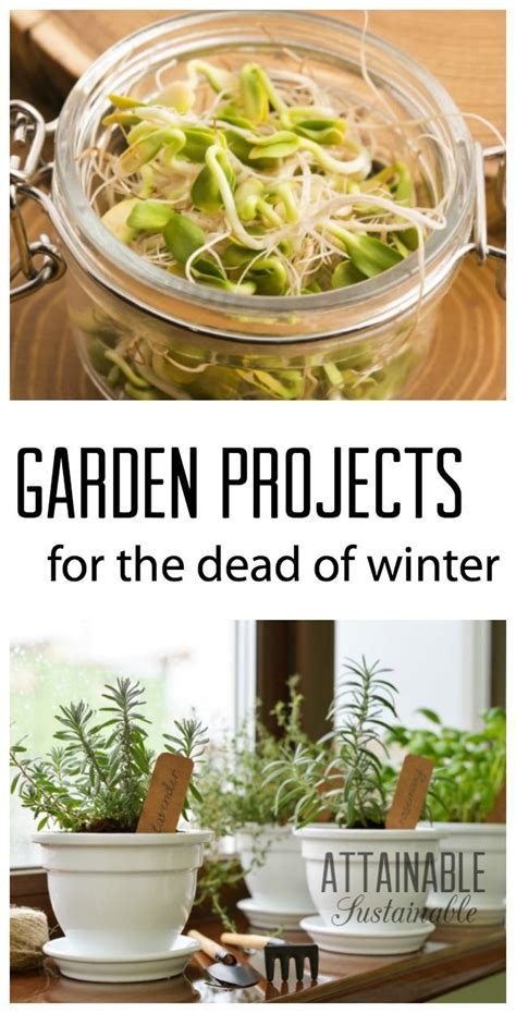 Winter Garden Ideas And Projects To Tackle During The Off Season Plan