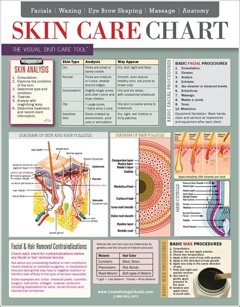 Skin Care Chart 2 Sided Laminated Quick Reference Guide