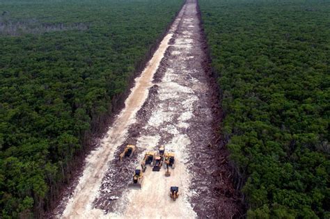 Tren Maya Gobierno Avala Nueva Expropiaci N De Hect Reas