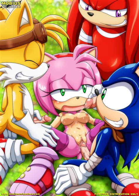 1451165 Amy Rose Knuckles The Echidna Palcomix Sonic Team Sonic The