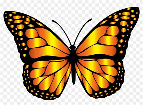 Clipart Orange Butterflies Butterfly Clip Art Free Clip Art Monarch