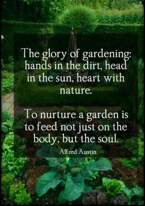 Garden Therapy Quotes Terrapy Garden Therapy Horticulture Therapy