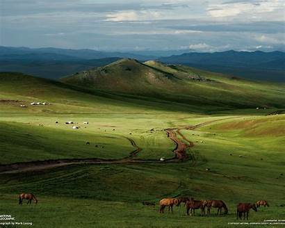 Steppe Mongolian Horses Wallpapers Geographic National 10wallpaper