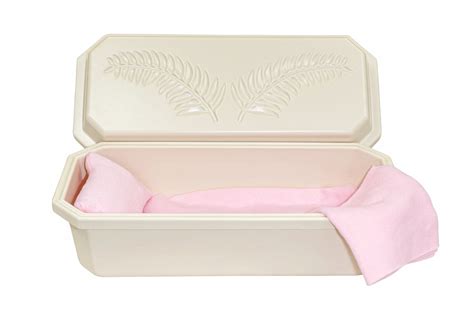 Only 149 Almond Pet Casket With Pink Interior For Your Pet Plastic
