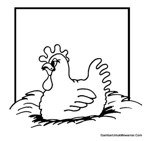 Gambar Anak Ayam Dan Induknya