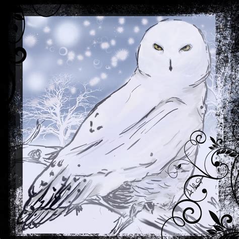 Snowy Owl By Citriclily On Deviantart