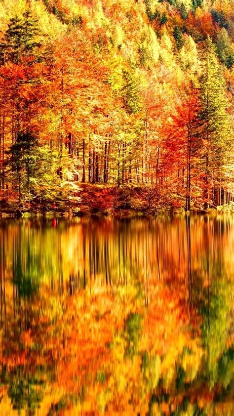 Beautiful Autumn Landscape Lake And Forest