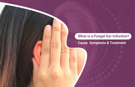 Fungal Infection Behind Ear Archives Ace Neuroent Hospital