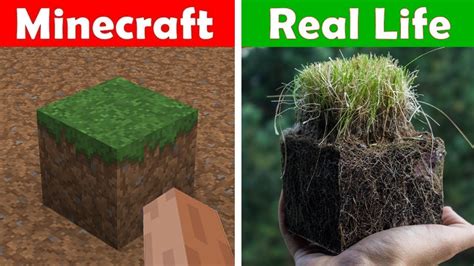 One Hour Of Minecraft Vs Real Life Minecraft Vs Real Life Animation