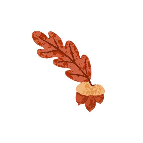 Premium Vector Dry Autumn Oak Tree Leaf With Acorn Nuts Fall Foliage