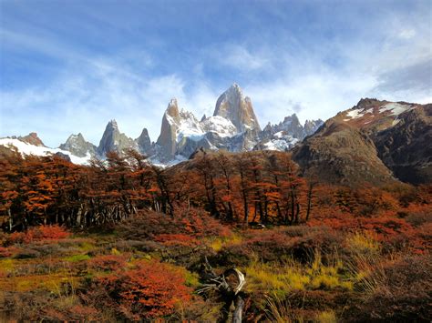 El Chalten Argentina Fall Foliage With Mount Fitz Roy Glacier In The