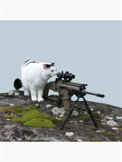 Cat With Sniper Rifle Meme 55 Koleksi Gambar