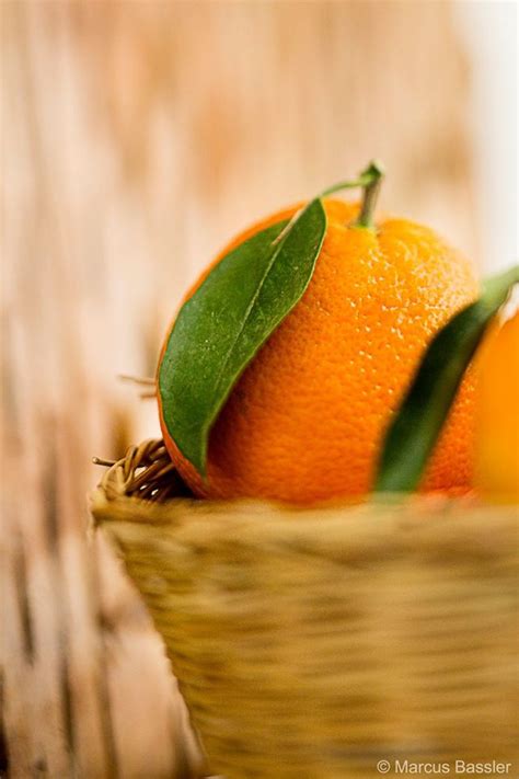 Cyprus Gastronomy Oranges The Aroma Of Orange Blossom In The Spring