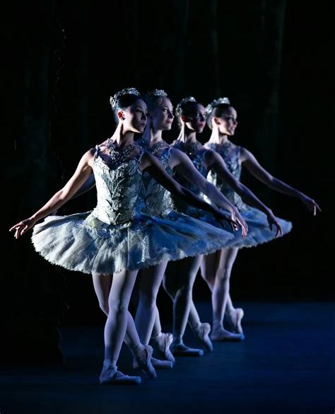 English National Ballets The Sleeping Beauty A Photo Album