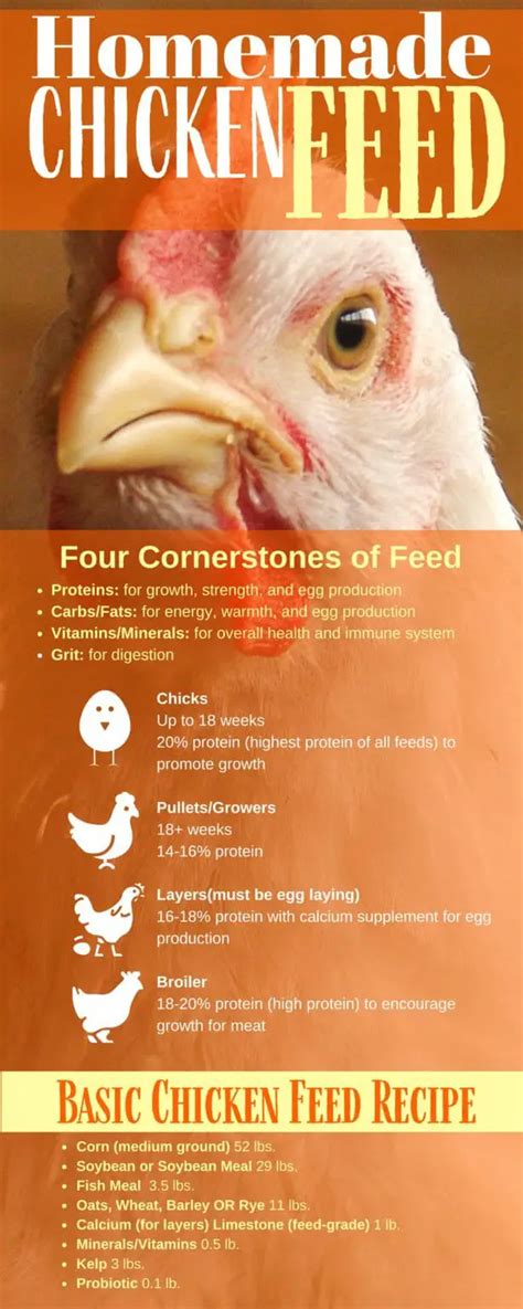 Homemade Chicken Feed Mix Know What Your Flock Is Eating Free