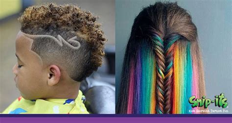 Some of us prefer general trends, while others like to 21. Unicorn Haircut Curly Hair - Haircuts you'll be asking for ...