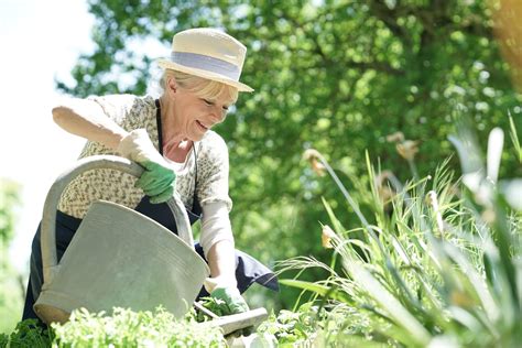Les Bienfaits Du Jardinage Pour Les Seniors