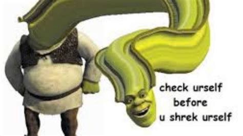 Shrek Memes For When The Years Don T Stop Coming Funny Status
