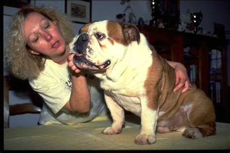 Moselle Mort de Jane Birkin pour ses ans la chanteuse avait reçu un bulldog anglais de