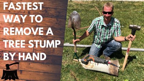 Check spelling or type a new query. How To Kill A Pine Tree Stump