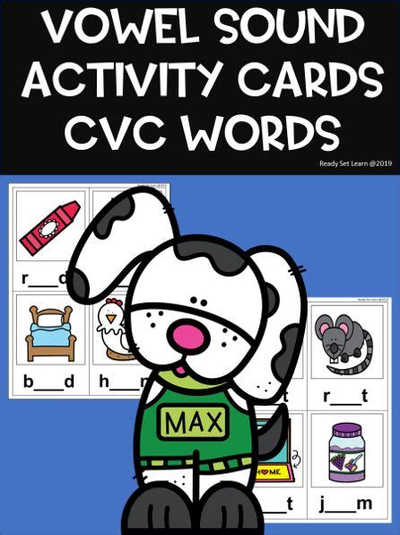 An Animal Themed Cvc Word Work With The Wordsovel Sound Activity Cards