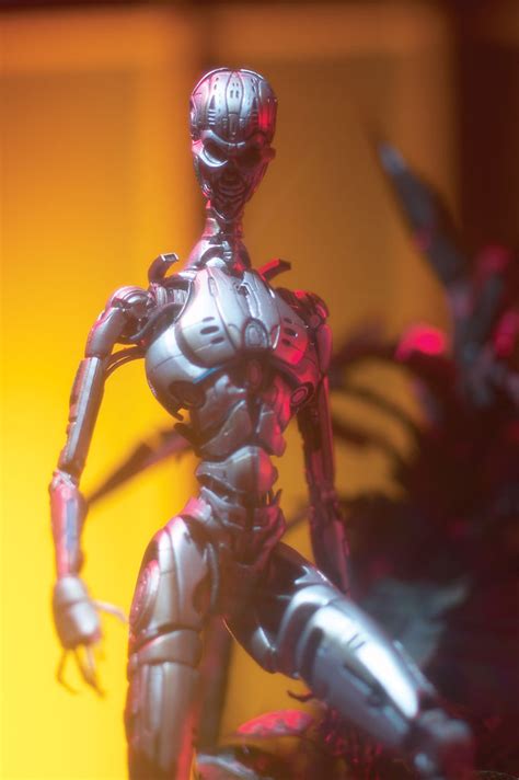 T X Terminator Endoskeleton