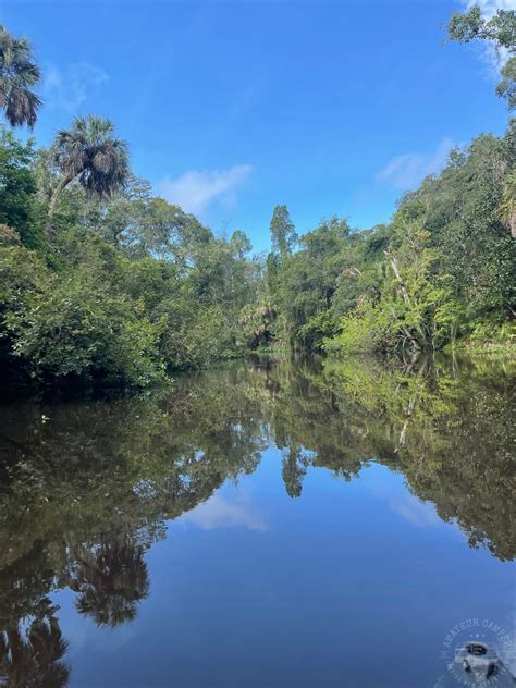 An Awesome Weekend of Camping at Hillsborough River State Park