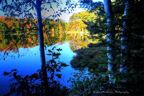 Fall Colors Northern Wisconsin Fall Colors Outdoor Photography