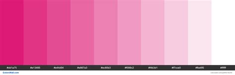 Tints Xkcd Color Dark Hot Pink D90166 Hex Colors Palette Colorswall