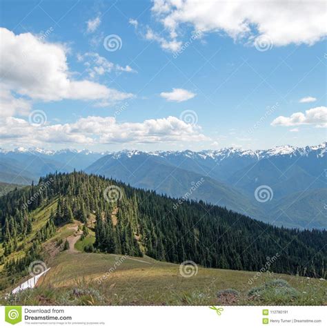 Hurricane Hill Ridge In Olympic National Park In