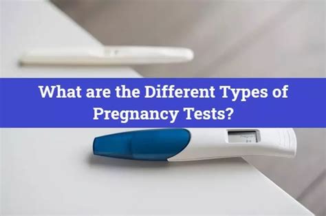 How Does A Pregnancy Test Work Step By Step Guide 2023 Pregnancy