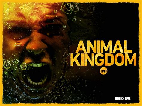 Animal Kingdom Saison 5 Episode 2: Sortie cette semaine - JAPANFM