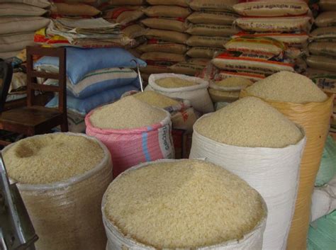 Nigeria To Ban Rice Importation In 2018 Buhari And Reactions Chomskyweb
