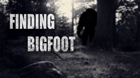 Finding Bigfoot Pc Gameplay Download Youtube