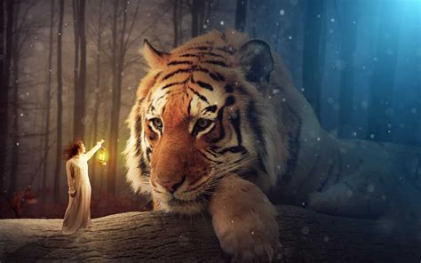 4k wallpaper ultra hd 4k wallpapers fondos de pantalla. En İyi 7 Fotoğraf Düzenleme Programı - Yeni Başlayan ve ...
